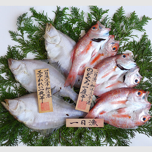 (A54)「一日漁」のどぐろ・かれい一夜干